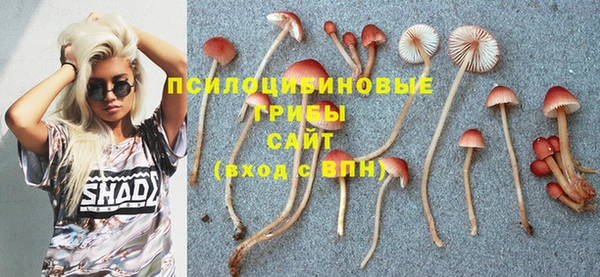 прущий лед Армянск