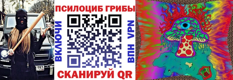 Псилоцибиновые грибы Cubensis  Купить где  Игра 